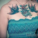 татуировка на лястовица на гърдите - снимка пример 37