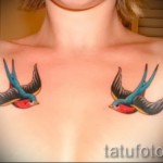татуировка на лястовица на гърдите - пример за снимка 51
