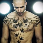 татуировка на лястовица на гърдите - снимка пример 64