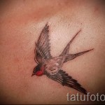 лястовична татуировка на ключицата - пример за снимка 6