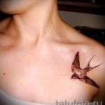 татуировка на лястовица на ключицата - пример за снимка 13