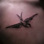татуировка на лястовица на ключицата - пример за снимка 17