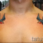 лястовична татуировка на ключицата - пример за снимка 21