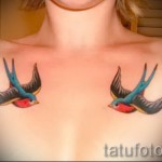 лястовична татуировка на ключицата - пример за снимка 24