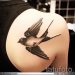 татуировка на лястовица на лопатката - пример за снимка 4