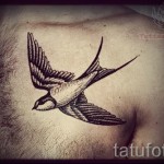 примери за снимки на татуировка на лястовица 1