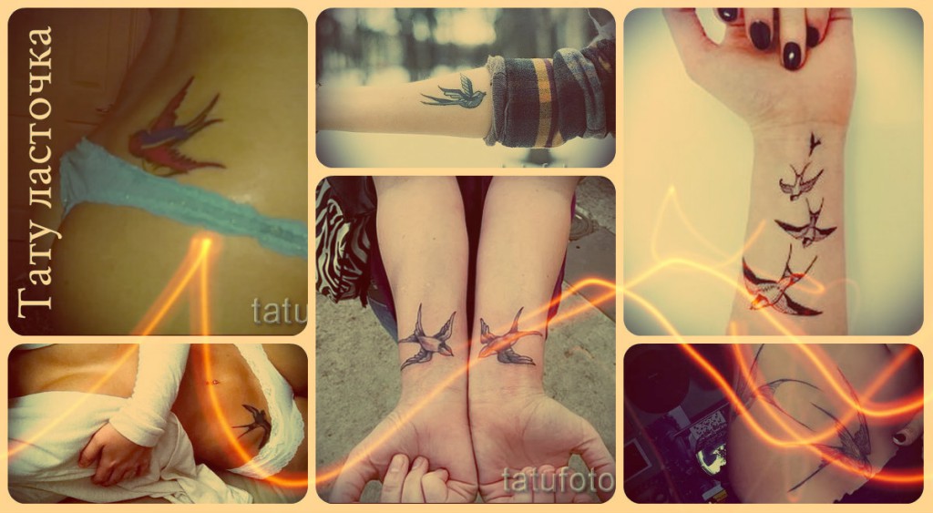 Татуировка лястовица - снимки на най -добрите татуировки за жени и мъже - готини варианти