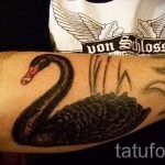 hattyú-tetoválás-a-karján-fotó-egy példa a kész tetoválásra-1018-tatufoto-ru