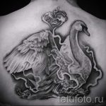 tatouage-cygne-blanc-photo-un-exemple-du-tatouage-fini-1019-tatufoto-ru