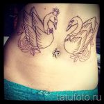 tattoo-zwei-schwane-foto-ein-beispiel-fur-die-fertigen-tatowierung-1023-tatufoto-ru