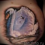 tatu-belyj-lebed-foto-primer-gotovoj-tatuirovki-3027-tatufoto-ru