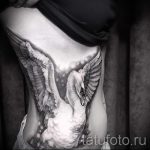 tatu-belyj-lebed-foto-primer-gotovoj-tatuirovki-13037-tatufoto-ru