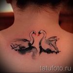 tatu-dva-lebedya-foto-primer-gotovoj-tatuirovki-2039-tatufoto-ru