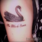 tatu-lebed-foto-primer-gotovoj-tatuirovki-7054-tatufoto-ru
