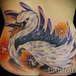 tatu-lebed-foto-primer-gotovoj-tatuirovki-8055-tatufoto-ru