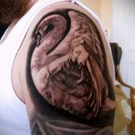 tatu-lebed-na-ruke-foto-primer-gotovoj-tatuirovki-10112-tatufoto-ru