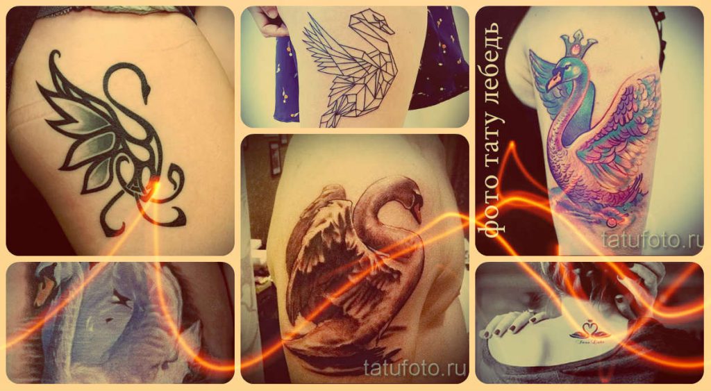 tatu-lebed-foto-interesnye-varianty-uzhe-nanesennyx-na-telo-tatuirovok