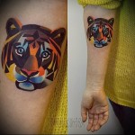 oroszlán tetoválás a karon - vektoros rajz a karon (színes)