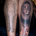 oroszlán és elefánt tetoválás