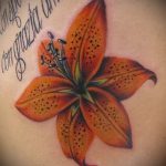 Tattoo Tiger Lily - Foto eksempliel der Tätowierung 13072016 1