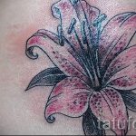 tatovering tiger lilje - Fotoeksempel på tatoveringen 13072016 1