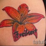 Lilie Tattoo auf dem Schulterblatt - Foto eksempliel der Tätowierung 13072016 1