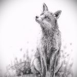 róka tetoválás vázlatok fekete-lásd a képeket 2016.04.25 14