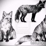 róka tetoválás vázlatok fekete-lásd a képeket 2016.04.25 17