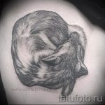 fox recroquevillé tetoválás - frais photo de tatouage sur 03052016 1