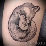 fox recroquevillé tetoválás - frais photo de tatouage sur 03052016 2