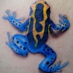 Béka tetoválás - mérgező színező