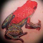 Béka tetoválás vörös