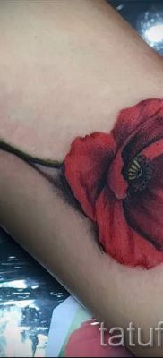 رسم الخشخاش للوشم - صورة لمقال حول معنى الوشم 2