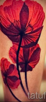 Picture Poppy Tattoo - صور لمقال عن أهمية الوشم 1