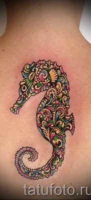 Tengeri ló tetoválás - fotó példa a kész tetoválásra az 55 jelentéséről szóló cikkhez