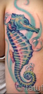 Tengeri ló tetoválás - fotó példa a kész tetoválásra az 51 jelentéséről szóló cikkhez