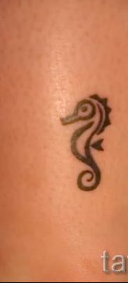 Tengeri ló tetoválás - fotó példa a kész tetoválásra a 41 jelentéséről szóló cikkhez