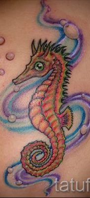 Tengeri ló tetoválás - fényképes példa a kész tetoválásra a 38 jelentéséről szóló cikkhez