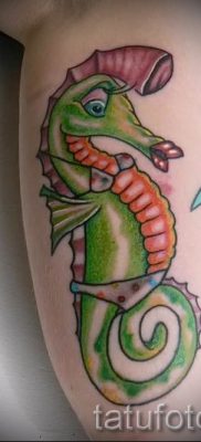 Tengeri ló tetoválás - fotó példa a kész tetoválásra a 37 jelentéséről szóló cikkhez