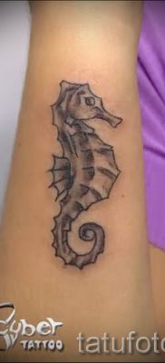 Tengeri ló tetoválás - fotó példa a kész tetoválásra egy 30 értékű cikkhez