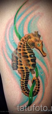 Tengeri ló tetoválás - fotó példa a kész tetoválásra a 25 jelentéséről szóló cikkhez