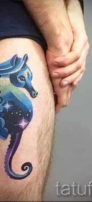 Tengeri ló tetoválás - fotó példa a kész tetoválásra a 23 jelentéséről szóló cikkhez