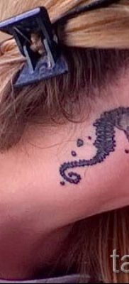 Tengeri ló tetoválás - fotó példa a kész tetoválásra a 21 jelentéséről szóló cikkhez