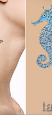 Tengeri ló tetoválás - fotó példa a kész tetoválásra a 16 jelentéséről szóló cikkhez