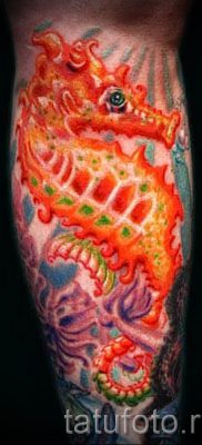 Tengeri ló tetoválás - fényképes példa a kész tetoválásra a 15 jelentéséről szóló cikkhez