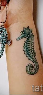 Tengeri ló tetoválás - fotó példa a kész tetoválásra a 9 jelentéséről szóló cikkhez