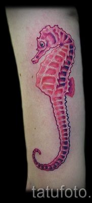 Tengeri ló tetoválás - fotó példa a kész tetoválásra a 3 jelentéséről szóló cikkhez