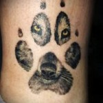 tatouage sur le loup de veau - fotó a példáról 2012. november 1