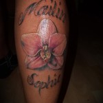 tatouage sur le veau femelle - fotó par exemple du nombre 20122015 1