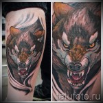 farkas borjú tetoválás - fotó példa 20122015 # 4